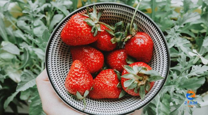 New study links daily strawberry consumption to improved heart health