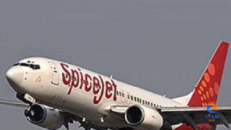 SpiceJet Q4 Results: Net Profit Surges Six-Fold to Rs 119 Crore, FY24 Loss Narrows By 73%