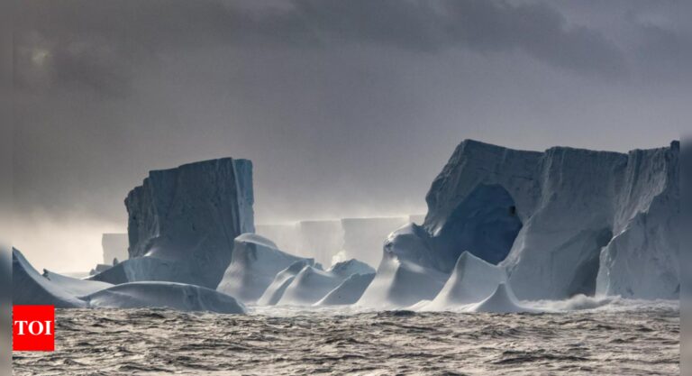 First map of vegetation across Antarctica reveals a battle for the continent’s changing landscape