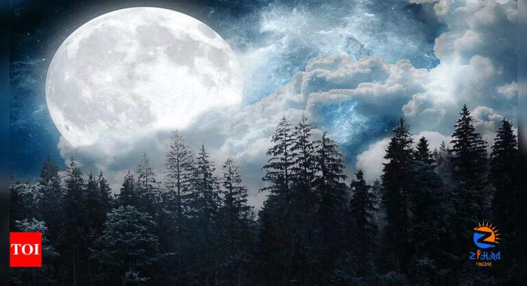 Full Moon in September 2024: How To Manifest During Harvest Moon |