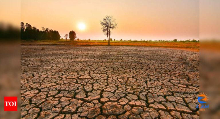 Climate Change: One in two El Nino events could be extreme by 2050, study finds