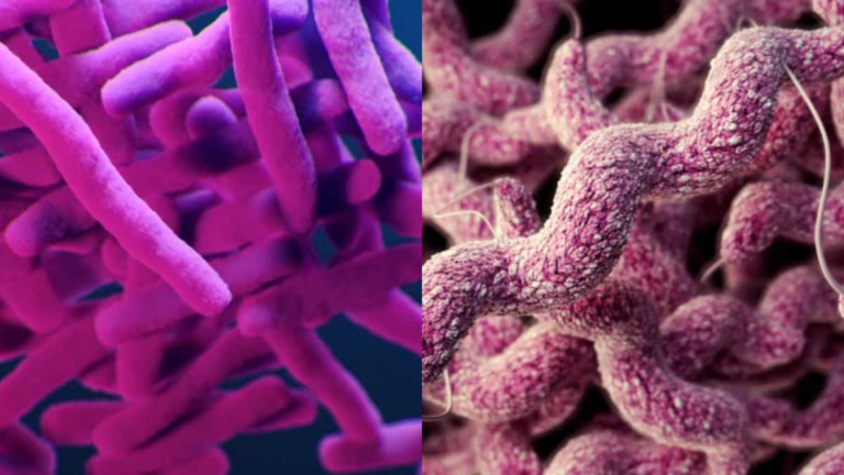 Alarming presence of superbugs in 21 top Indian hospitals, reveals ICMR report