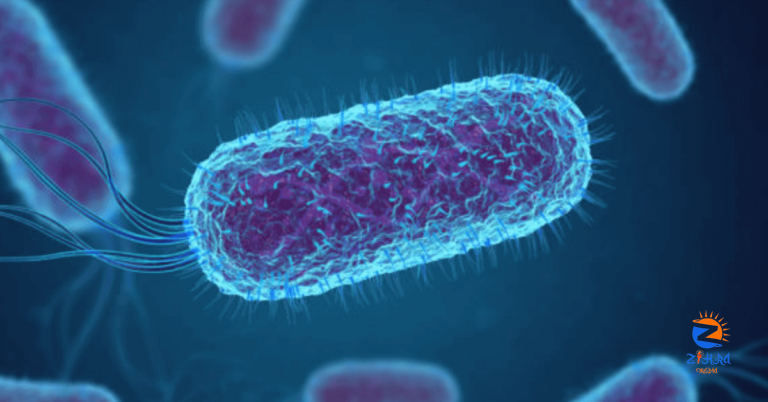 Health Ministry reveals E.coli outbreak as cause of ‘mystery disease’ in Aswan