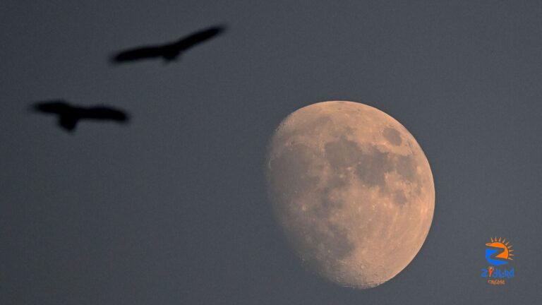 Supermoon lunar eclipse: Will it be visible in India? When and where to watch