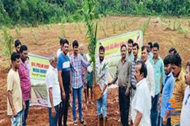 Over 17 lakh oil palm saplings planted in a plantation drive under National Mission for Edible Oils