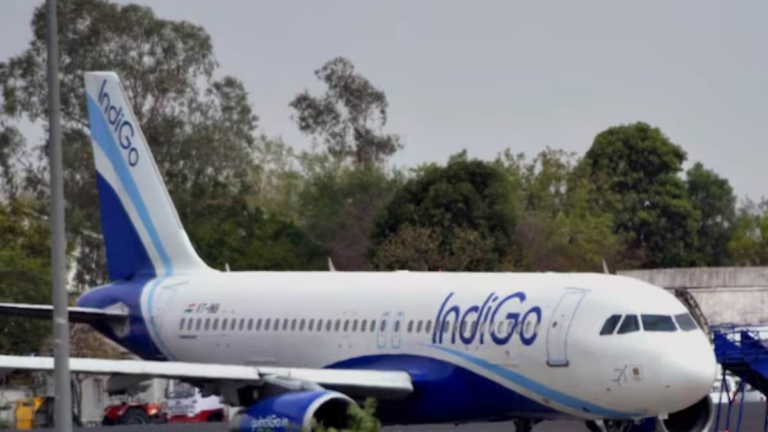 IndiGo Offers Special ‘Add-ons Fiesta’ Plan On Flight Bookings For Festive Season