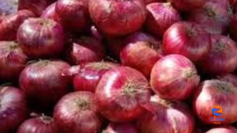 Government Removes Minimum Export Price On Onion and Basmati Rice