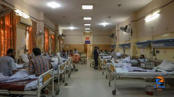 Alert issued for Karachi hospitals over monkeypox spread